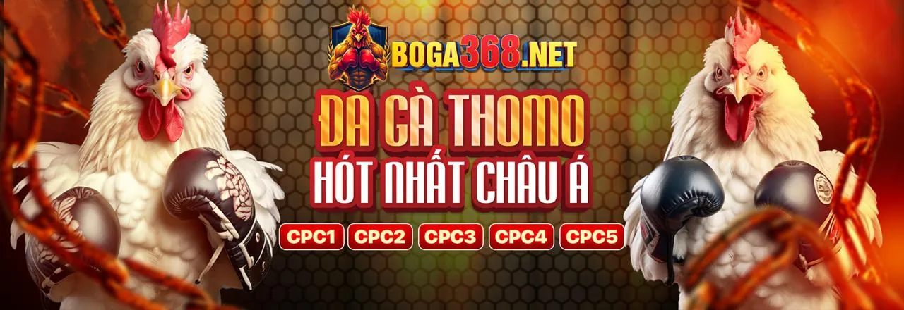 Đá gà trực tuyến kịch tính tại hihi8823